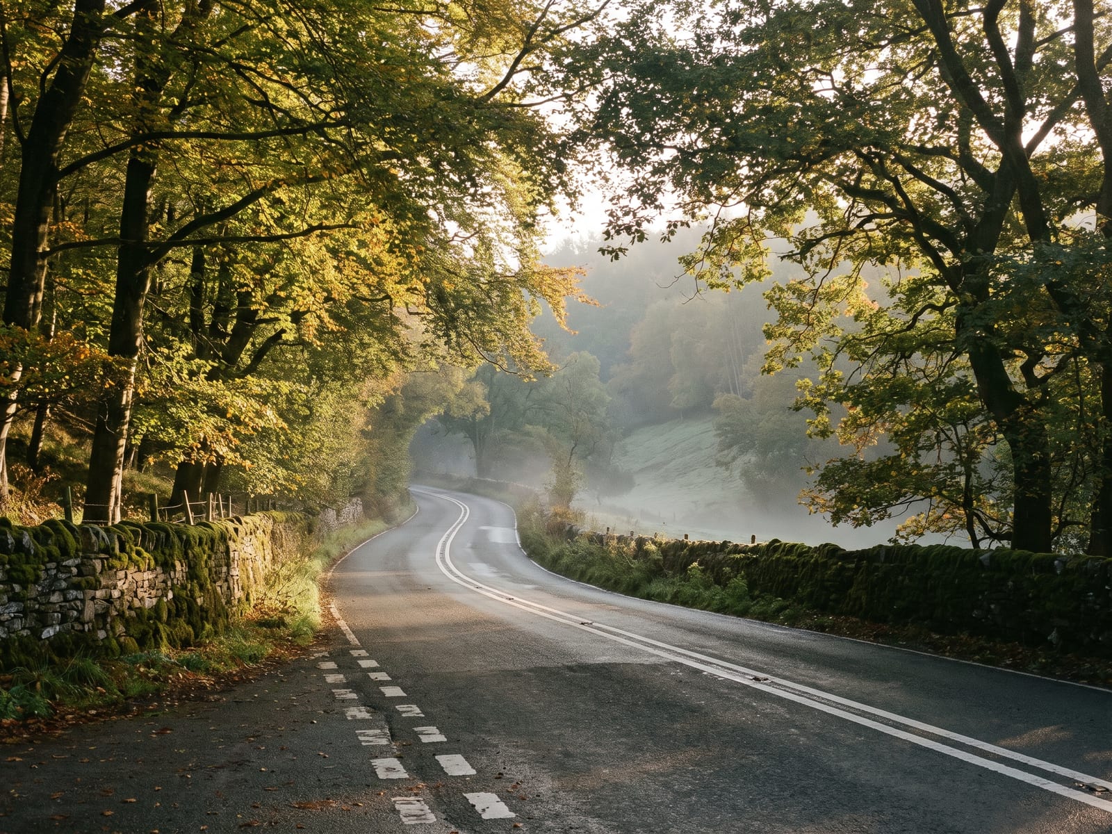 Near Ashbourne: a quiet tarmac road dropping through a steep wooded valley in the southern Peak District, Staffordshire
