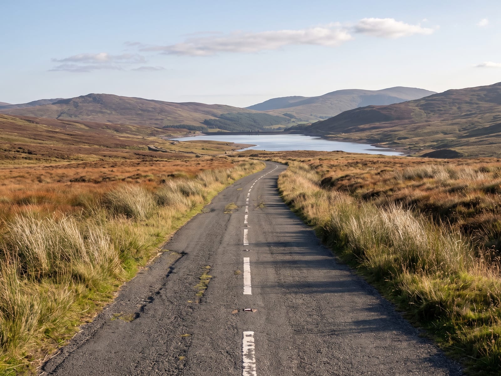 A lonely tarmac road crossing open upland moor in Snowdonia, Wales, rust-brown moorland grass and pale rushes either side, with a long still reservoir glinting in the distance