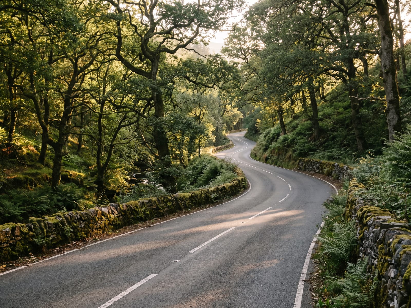 Near Bovey Tracey: a quiet two-lane road winding through a steep oak-wooded river valley in Dartmoor, Devon, dappled shade on the tarmac
