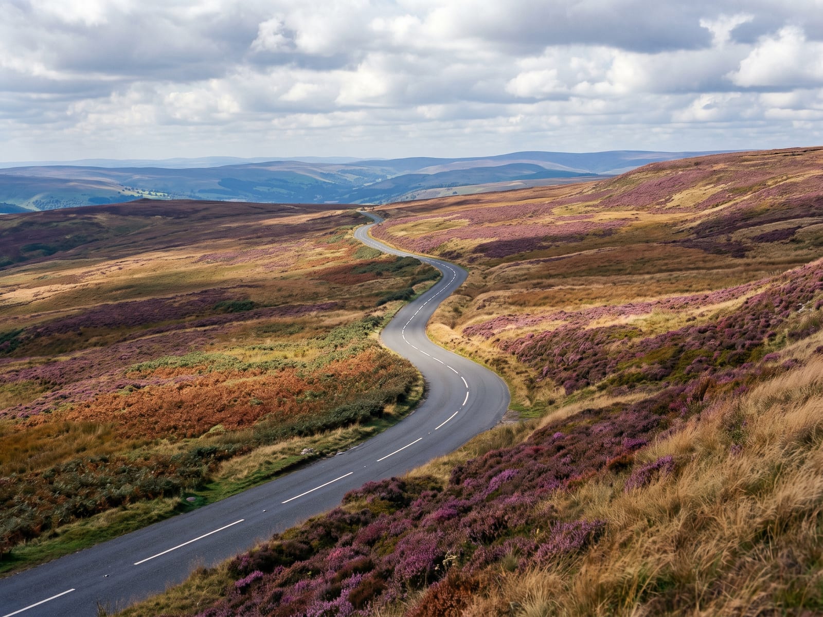 Near Buxton: a narrow winding tarmac road climbing across vast open moorland in the Dark Peak, Derbyshire
