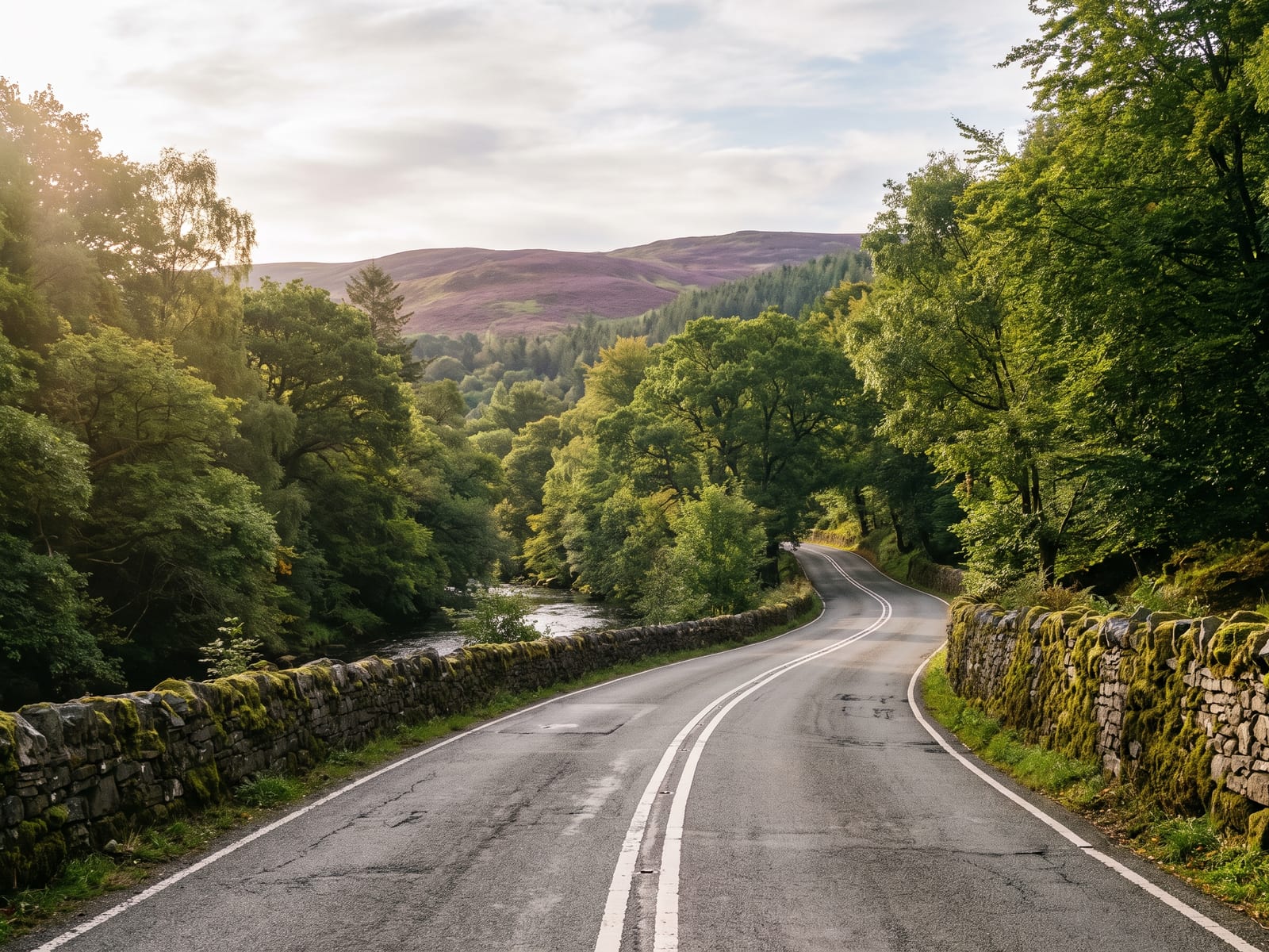A winding tarmac road following a wooded river valley in North Wales, steep oak and beech hillsides on both sides, with open purple-brown heather moor rising beyond the tree line