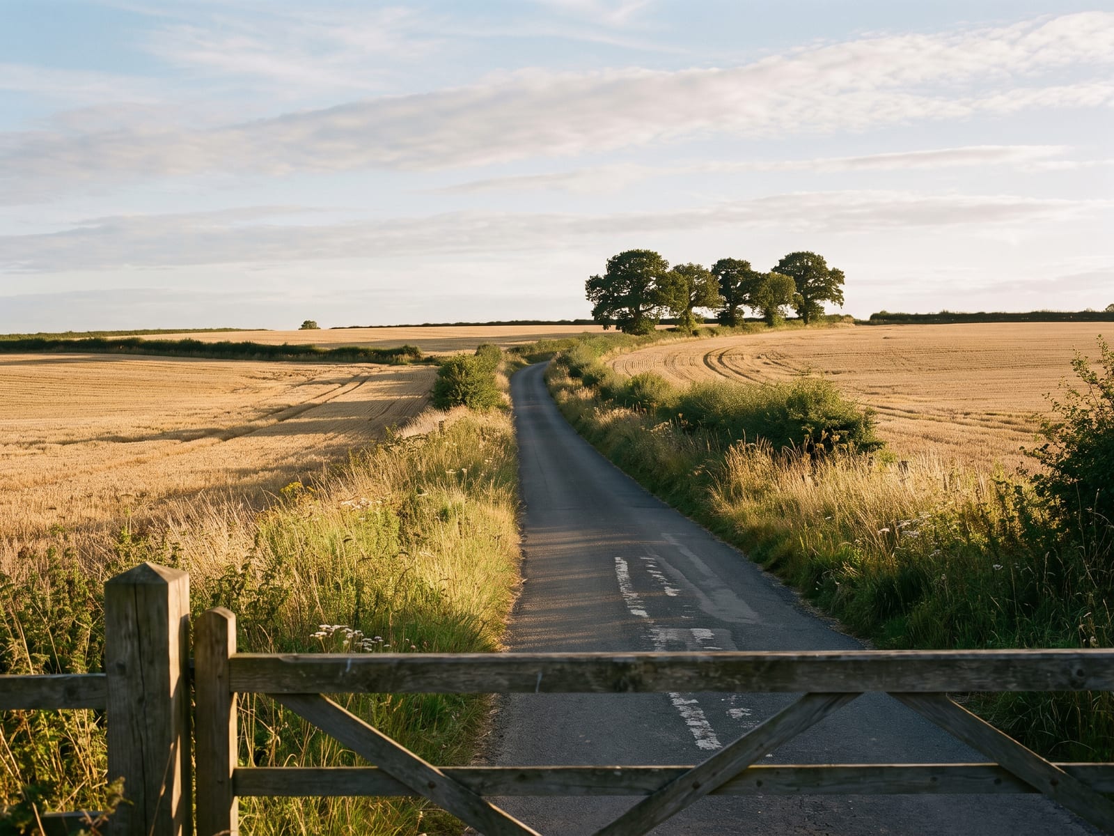 A narrow single-track tarmac lane crossing rolling arable fields in mid-Norfolk, golden stubble after harvest and a small oak copse on the horizon