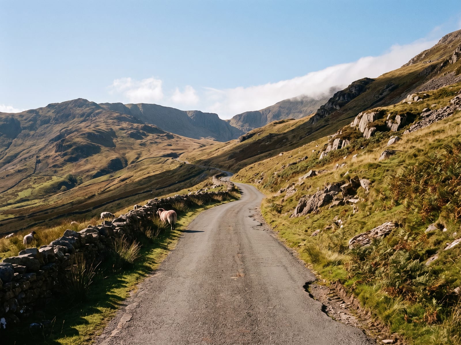 A narrow single-track tarmac lane climbing a bare grassy mountainside in Snowdonia, Wales, rough sheep-grazed slopes, scattered rock outcrops and a stone wall running alongside