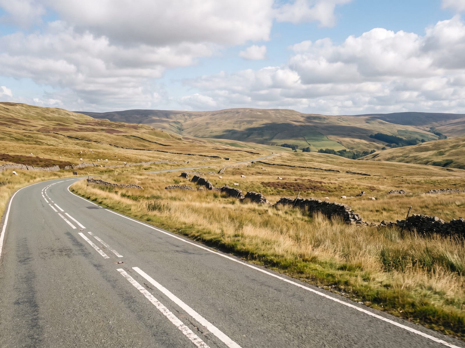 Near Kendal: a wide two-lane road crossing a high open fell in northern, rough tawny moorland grass and a few scattered sheep on either side