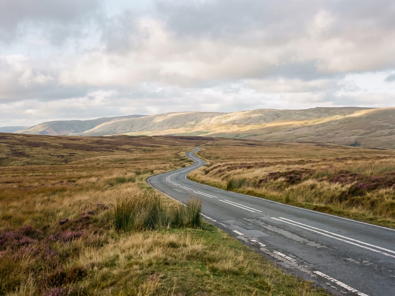 A narrow tarmac road crossing open upland moorland in Mid Wales, tawny grass and heather, scattered rushes and a distant pale hill line under a huge sky