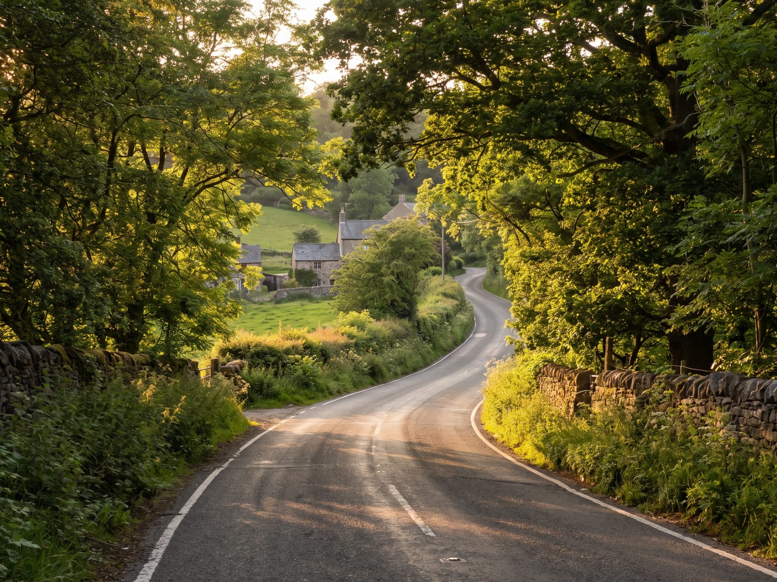 Near Matlock: a narrow tarmac lane climbing through a wooded river valley in Derbyshire