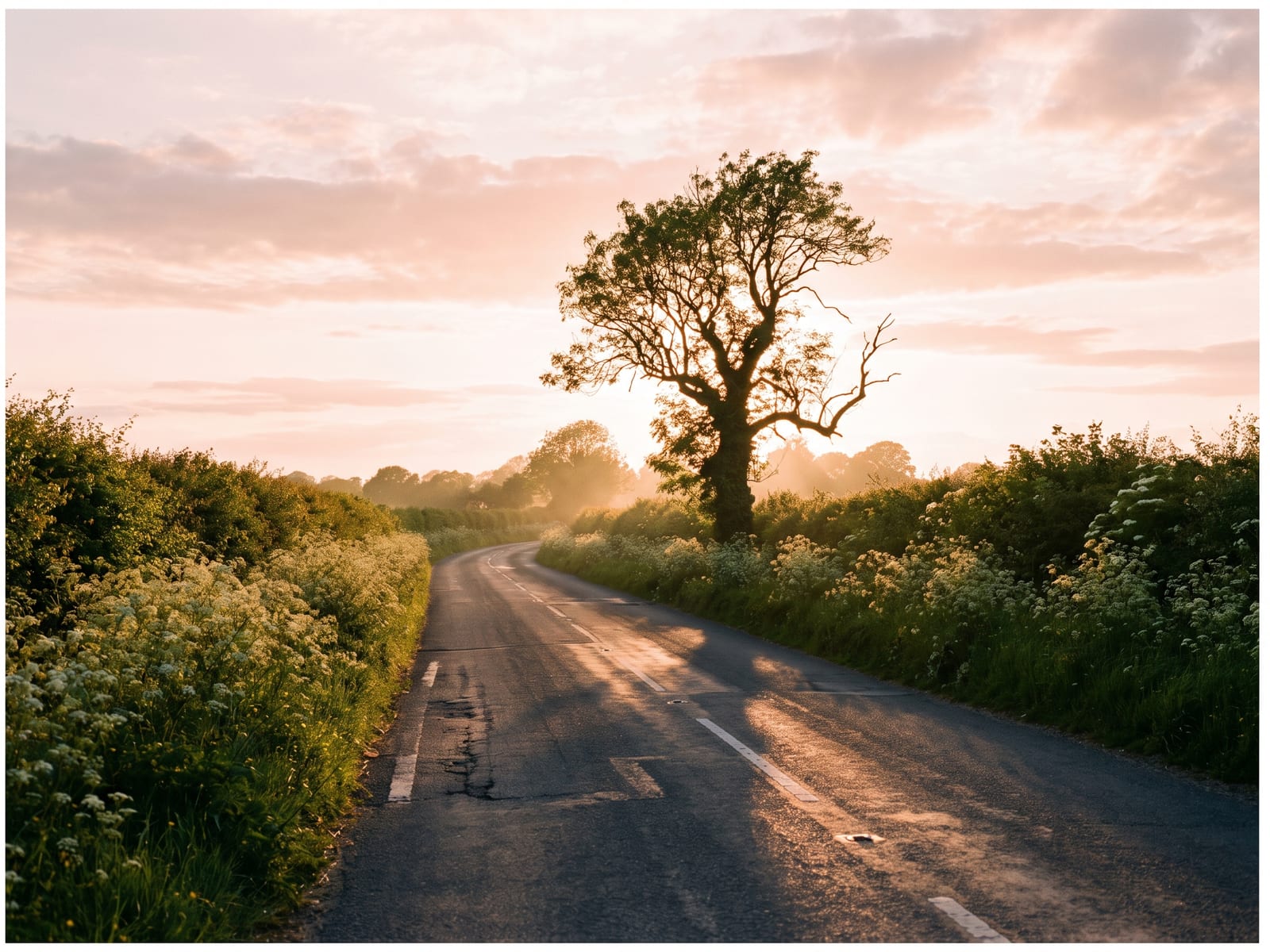 A narrow tarmac lane through gentle south Norfolk farmland, hedgerows full of cow parsley, a lone ash tree beside the road and a pale pink and orange sky