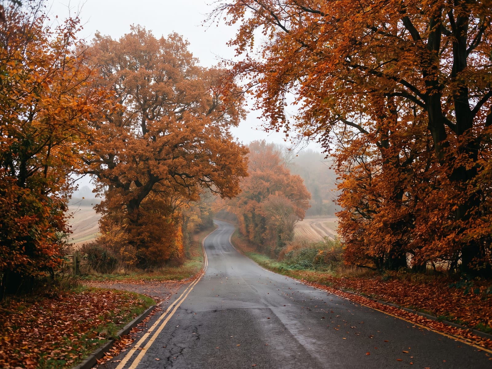 A winding tarmac lane dropping into a wooded river valley in mid-Norfolk, big oak and beech trees in full orange autumn colour overhead, leaves scattered on the road and open fields glimpsed beyond