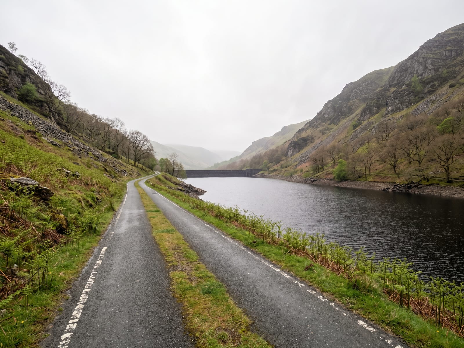 Near Rhayader: a narrow single-track tarmac road with grass down the middle winding beside a long dark reservoir in a steep mid Wales valley