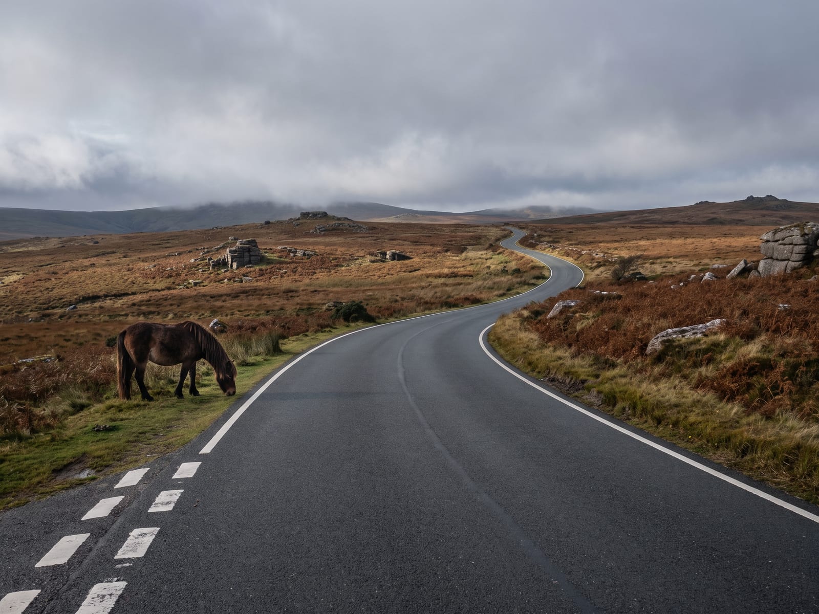 Near Tavistock: a smooth tarmac road crossing a bleak high moor of granite outcrops, rough grass and bracken in Dartmoor, Devon