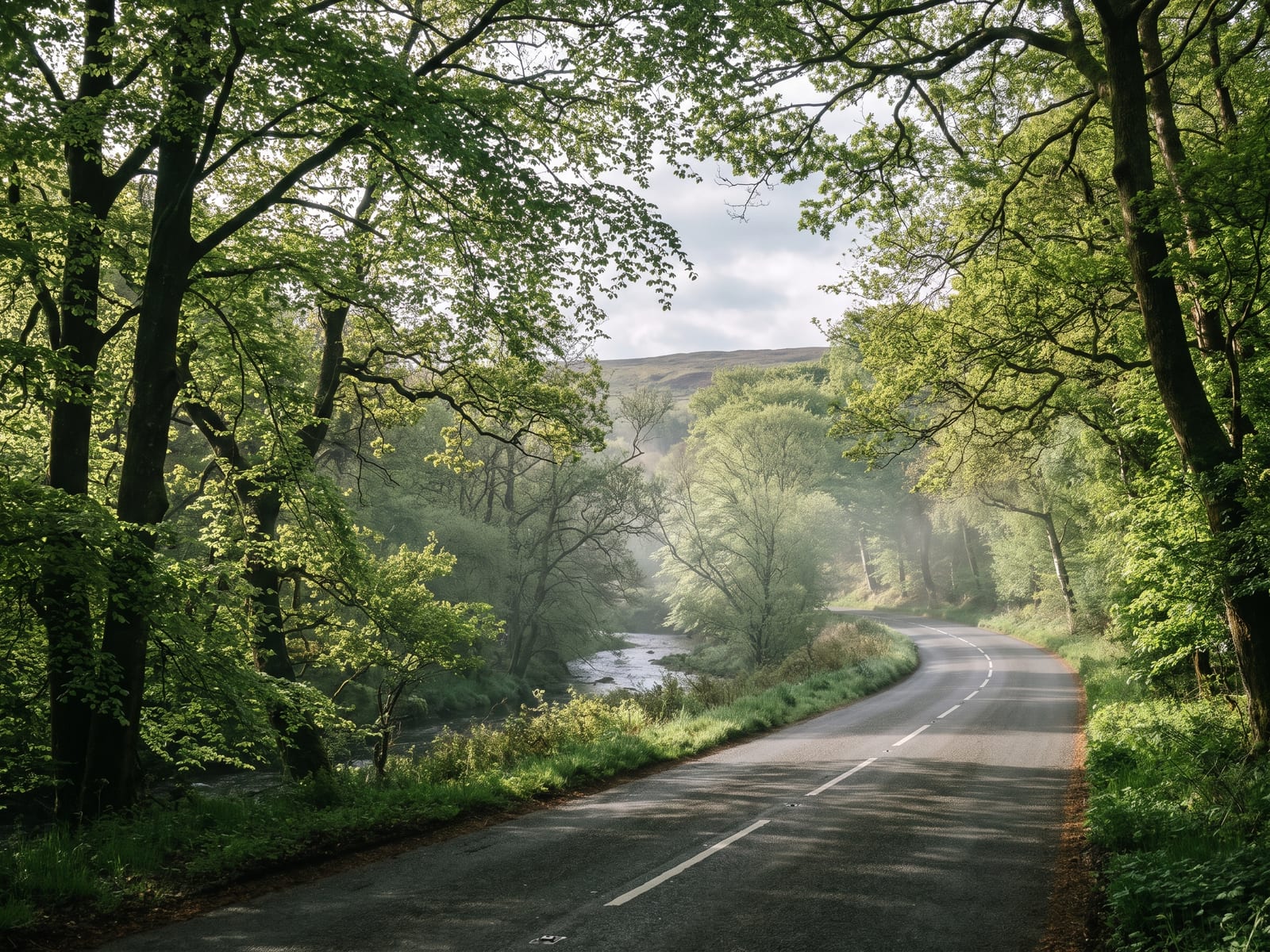 Near Whitby: a narrow tarmac road passing through a wooded river valley in the North York Moors, mature beech and oak trees overhead