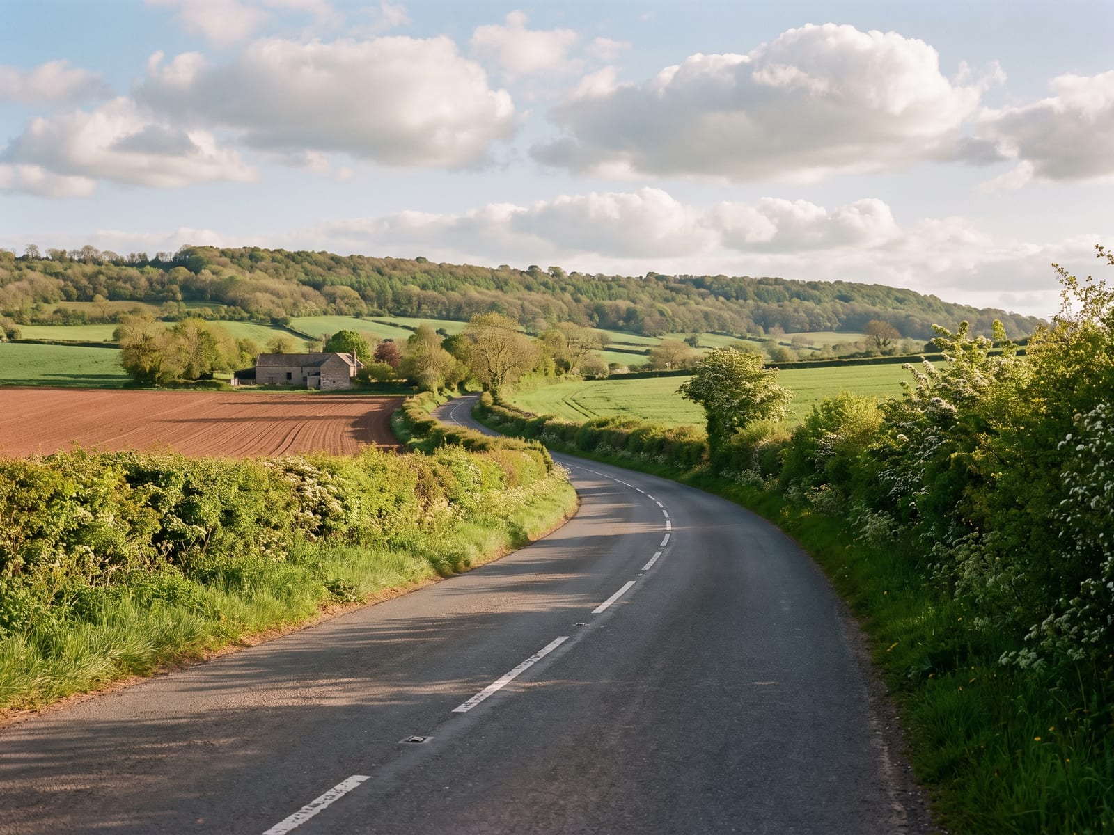 Near Williton: a quiet two-lane road running through rolling green farmland and hedged fields beneath a long wooded ridge in Somerset